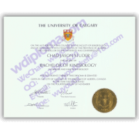University of Calgary fake diploma